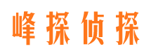 崇川婚外情调查